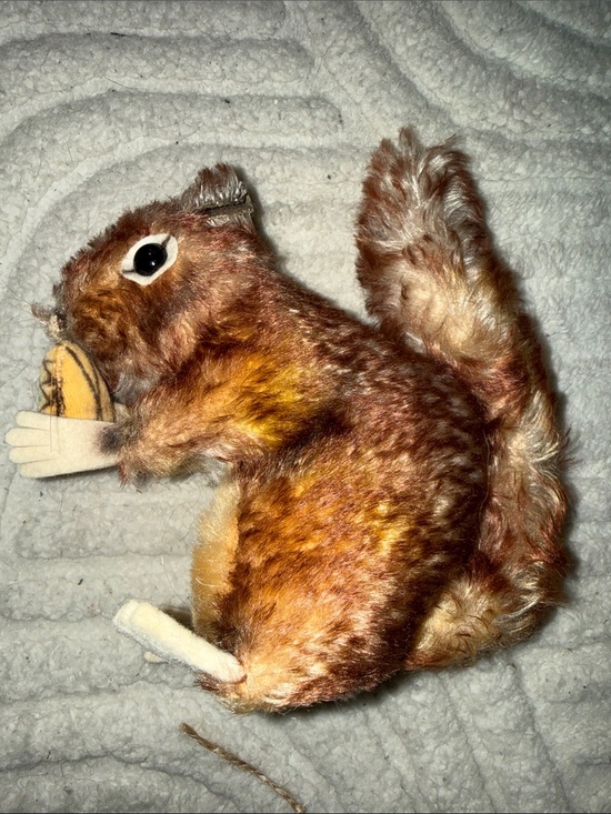 steiff Other - 🐿️ Rare Vintage Steiff Mohair Squirrel w/ Button – 1950s German Plush –